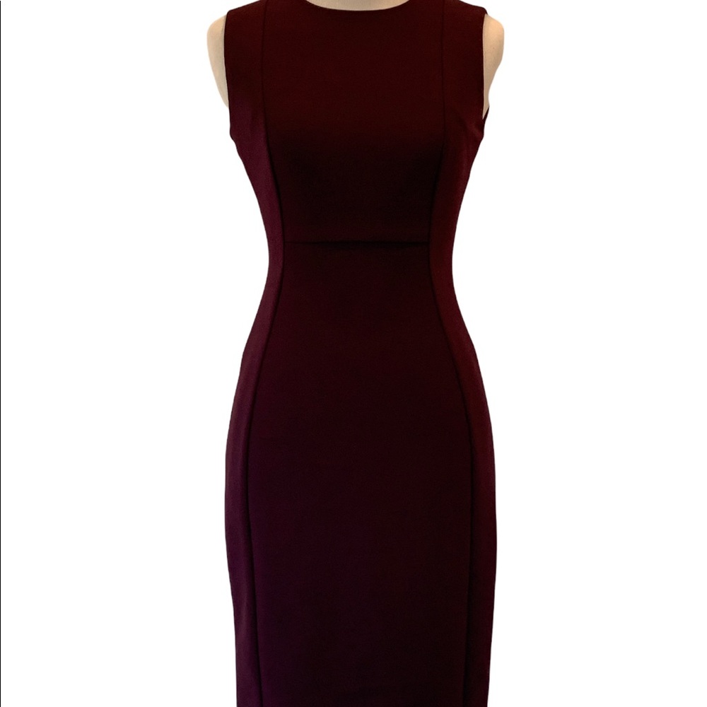 Calvin Klein Plum Pencil Dress, Size 2P